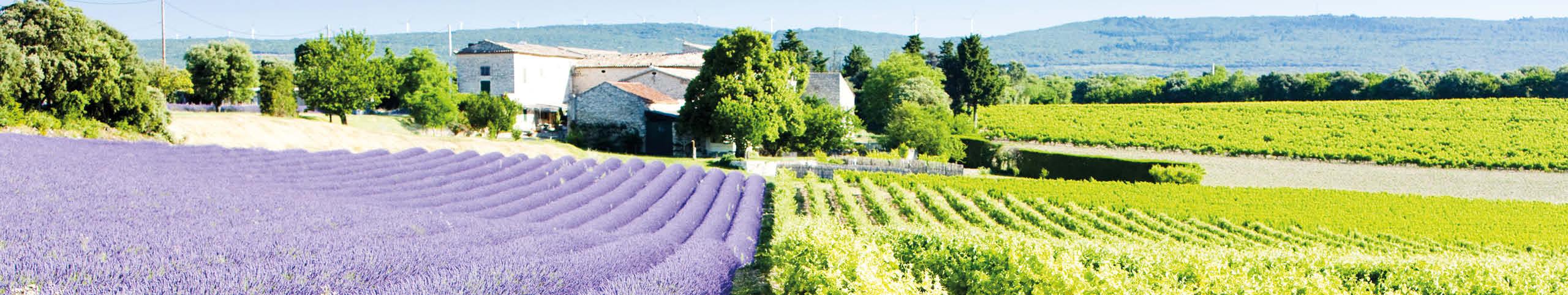 Banner Jura/Franche Comté - Frankrijk